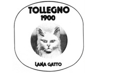 Tollegno 1900 (Lana Gatto)